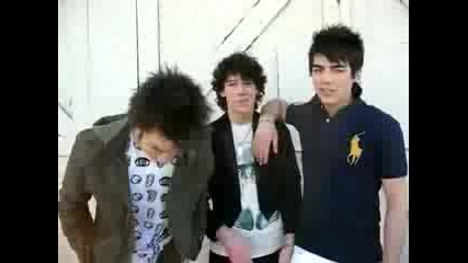 Jonas Brothers Wanna Date You