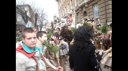 Surva Pernik 2013