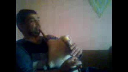 chashko gaidada