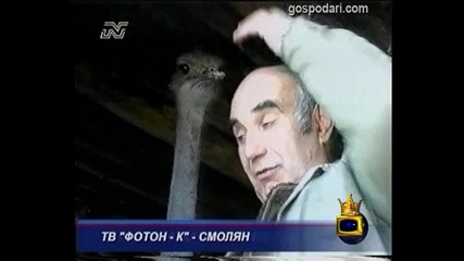Десятка