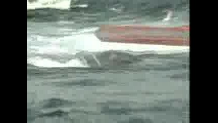 Косатка преобръща лодка и убива рибари - близо до сушата !