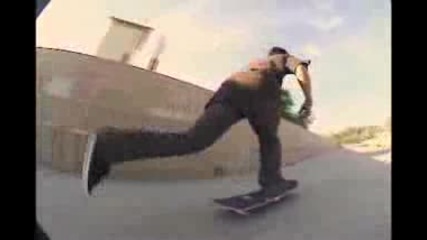 element skateboarding 