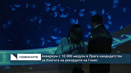 Аквариум с 10 000 медузи в Прага кандидатства за Книгата на рекордите на Гинес