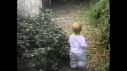 Смешни котки 2