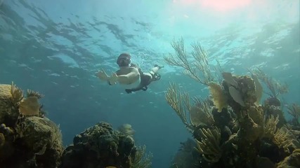 Gopro Hd- Shark Riders - Introducing Gopro- New Dive Housing