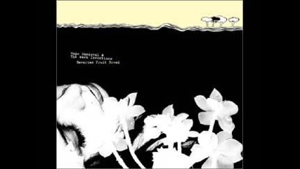 Hope Sandoval - Clear Day 