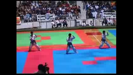 Taekwondo Demonstration