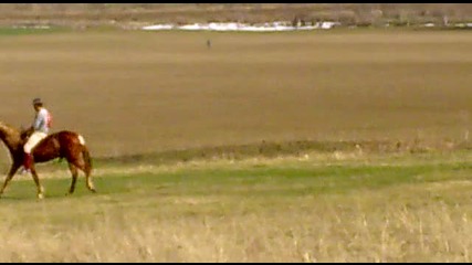todorov den popovo 2010 godina