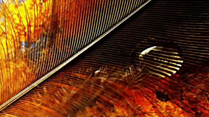 ♥♫♥ Kevin Kern ♡♡♡ Safe In Your Embrace ♥♫♥