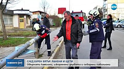 ВРАЦА: Вятърът изкорени дървета и събори павилиони, има ранени