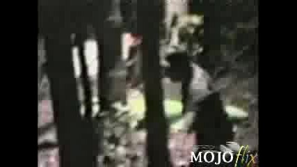 Страшен Смях