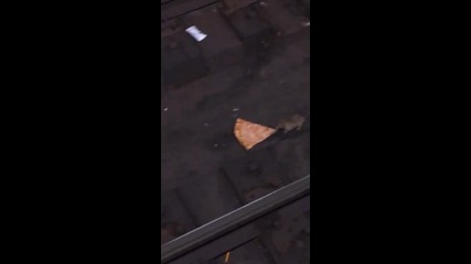 Два плъха се бият за парче пица