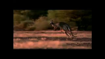 Planet Earth Satisfaction 
