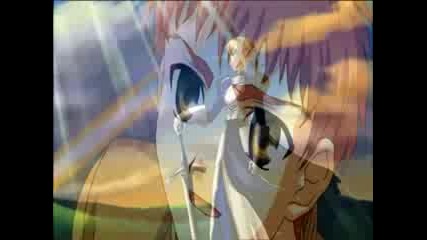 Fate Stay Night - Amaranth
