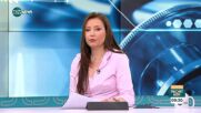 БНБ предупреди за рекорден брой фалшификати - как да ги разпознаем?