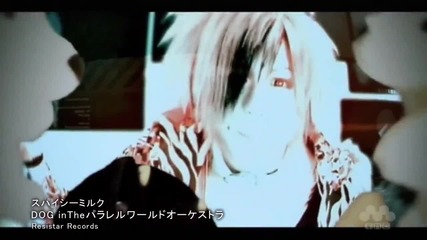 Dog in the Pwo - Spicy Milk Pv Hd