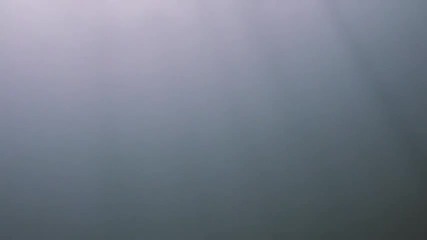 Какаши срещу Пейн
