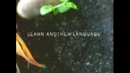 Предимството Да Знаеш Повече Езици