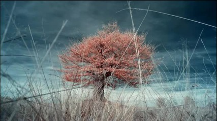 Zero Cult - Monolife