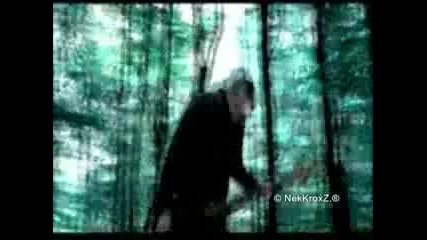 Paramore - Thats What You Get - and - Decode [ Twilight ]