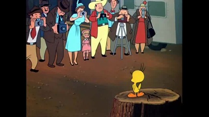 Tweety And Sylvester - Tweet Tweet Tweety