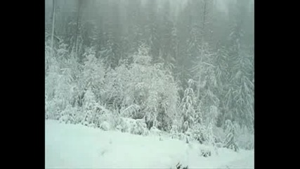 Logging Truck Winter Loads - - Vernon, B.c
