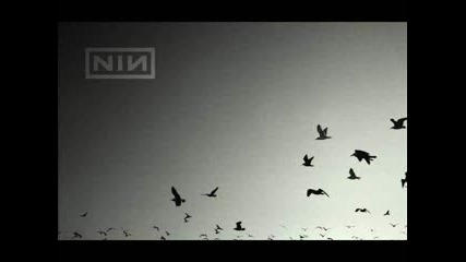 Nine Inch Nails - Ghosts II - 11