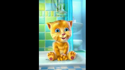 Talkingginger(8)