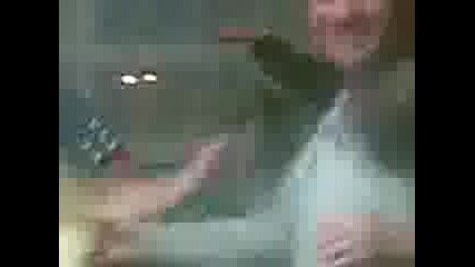 pelcho igrae lud kuchek 