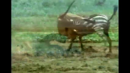 Да запазим нашия дом Земята или поне част от нея