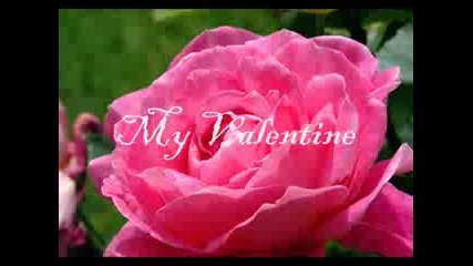My Valentine - Martina Mcbride