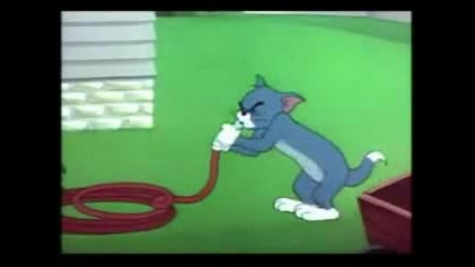 Tom and Jerry 5 (bg Parody)