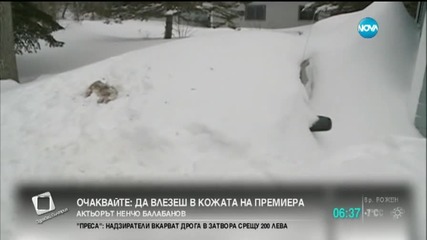 В САЩ поискаха арест за мармот