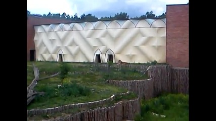 D..krika