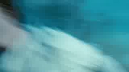 Twilight - Trailer