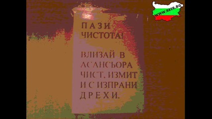 seir.bg 