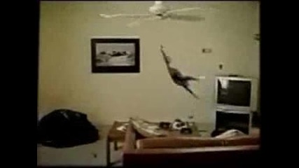 Xвърчаща Котка