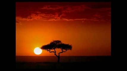 Wonderful Africa Chill Out Music