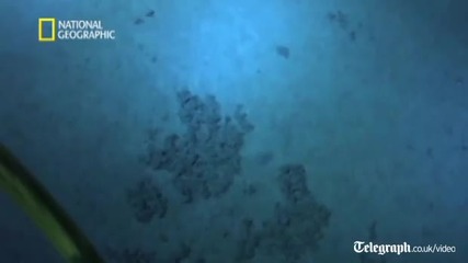 Д. Камерън и неговите първи снимки от дълбочините на морето