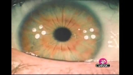 Pink Floyd - Brain Damage Eclipse 