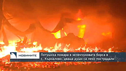 Потушиха пожара в зеленчуковата борса в с. Кърналово, двама души са леко пострадали
