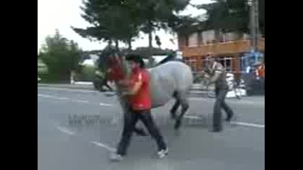 horse kick