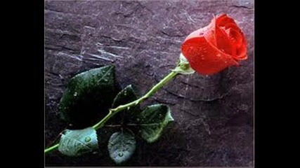Scorpions - Still Loving You