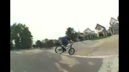 bmx animal