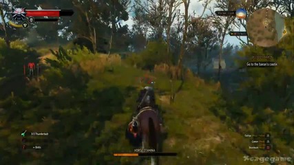 The Witcher 3 Wild Hunt Part 14