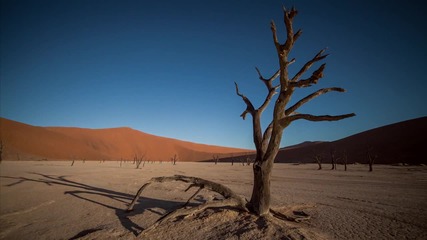 Пустинята Намиб - пустинята с най-живописните дюни