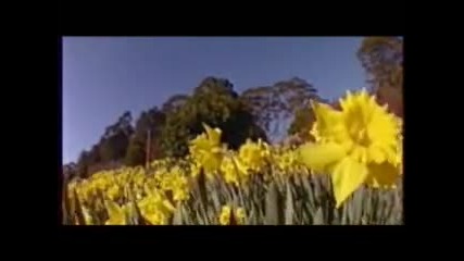 Ходене по въздуха (релакс)