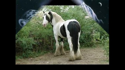 rumen i valio