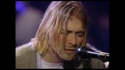 Nirvana - All Apologies 