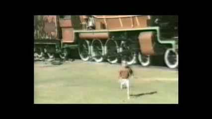 Войната На Животните!